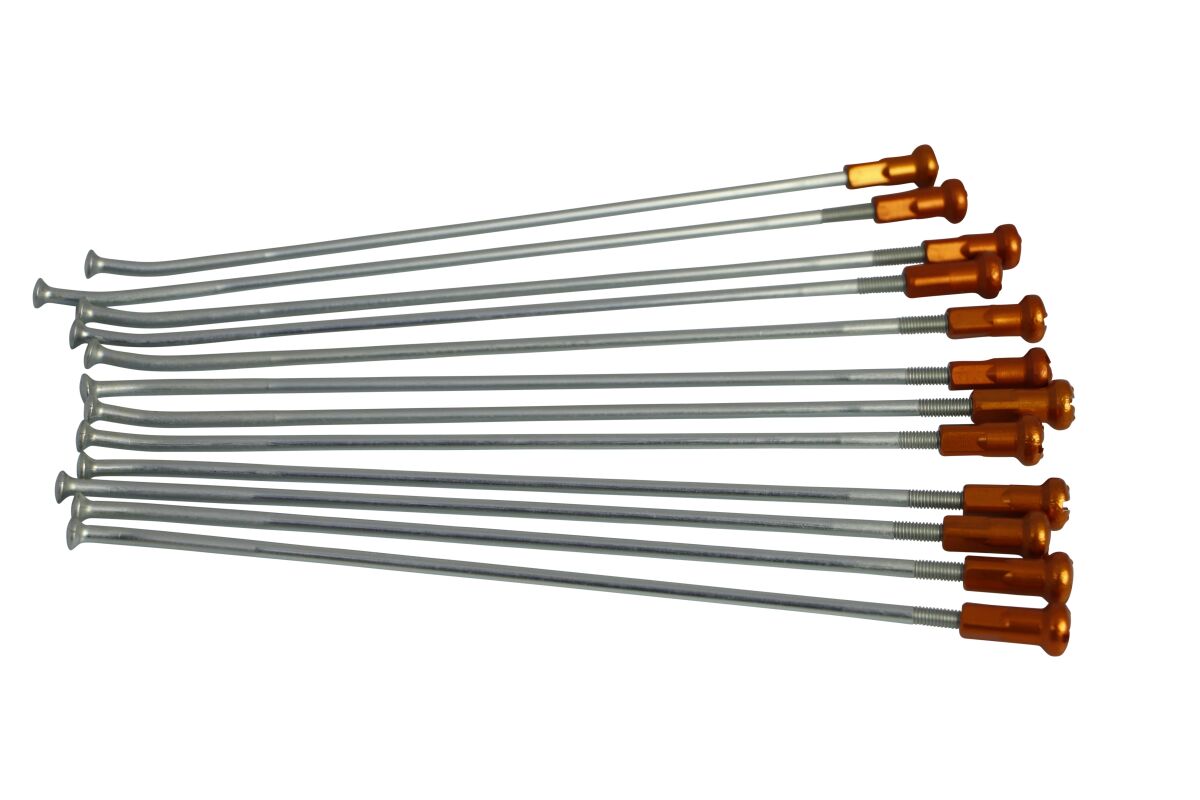 SPOKES 18 RR SI/OR NIP