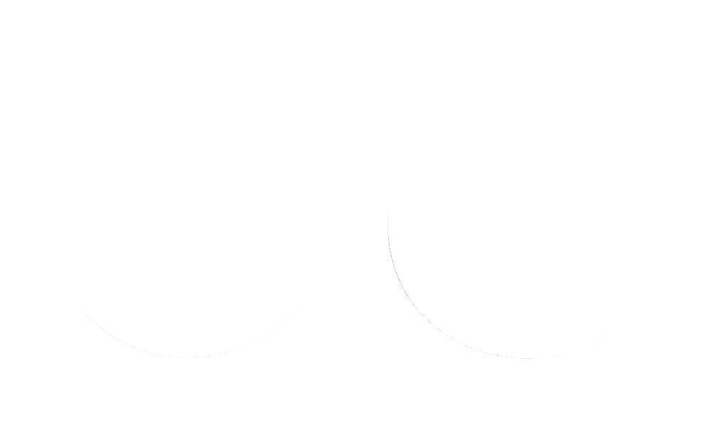 FORK SEAL SW 38X48X10