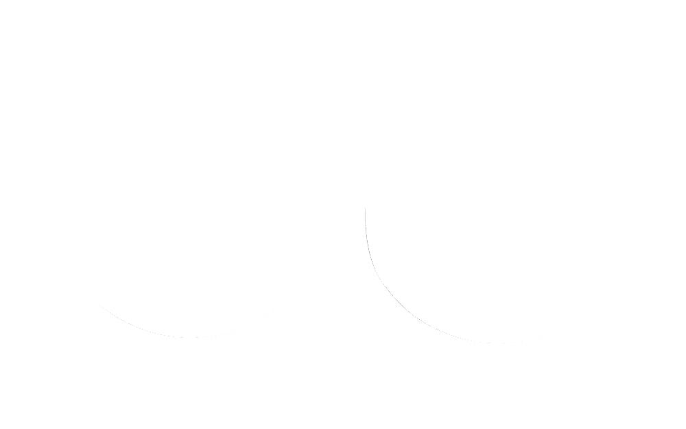 FORK SEAL RSD2 31.7X42X7/9