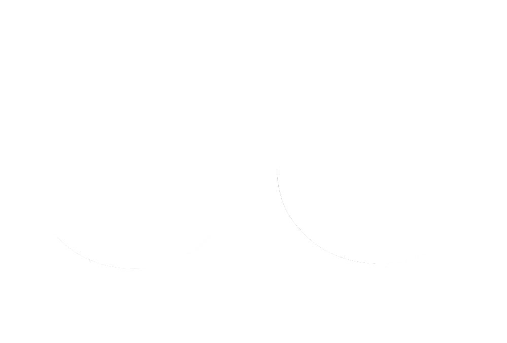 FORK SEAL RSD2 36X46X7/9