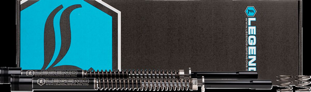 AXEO FORK SPRINGS STANDARD 49M