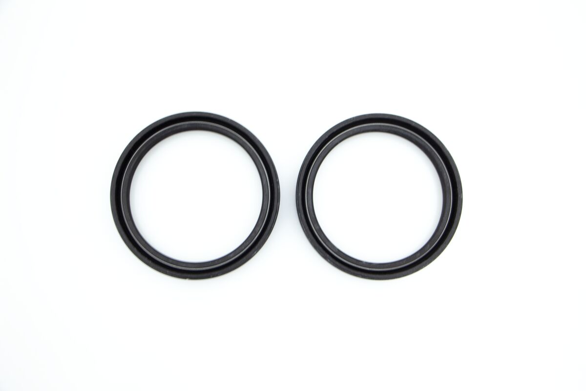OIL SEAL SET FF 48MM WP