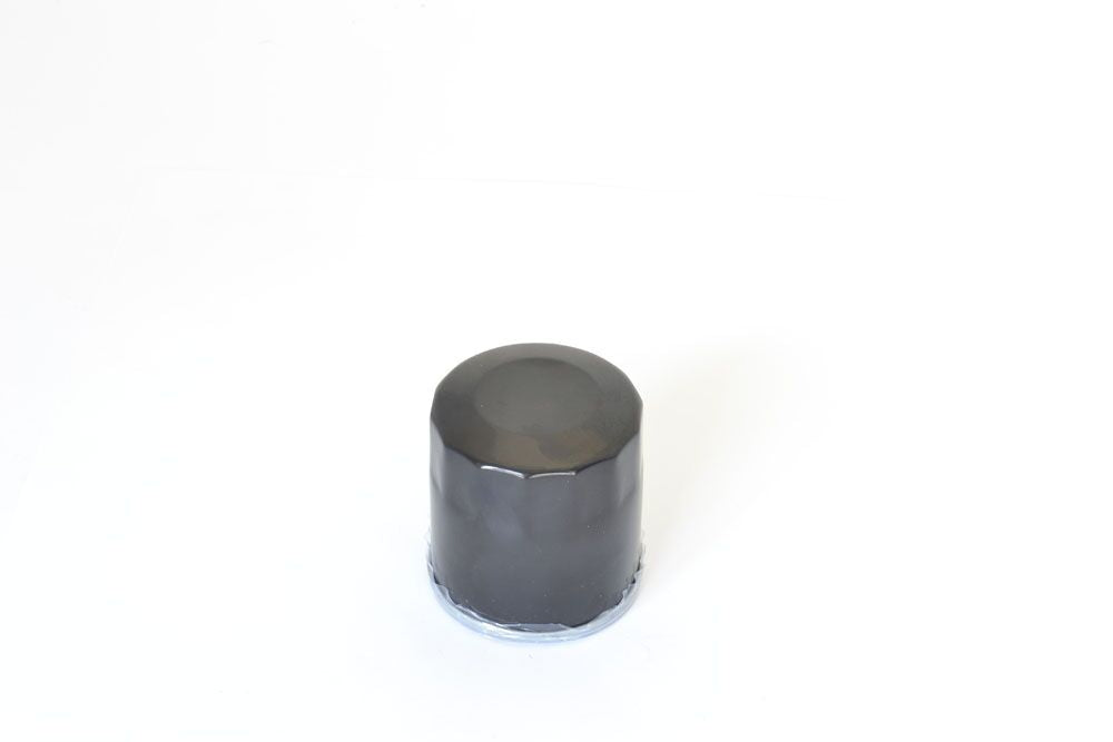 OIL FILTER POLARIS