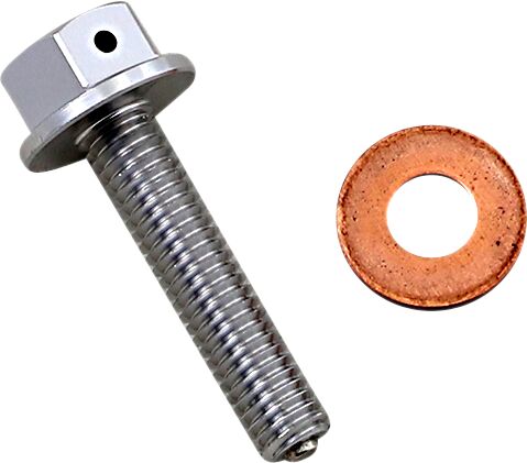 DRAIN PLUG MAGNETIC SLVR