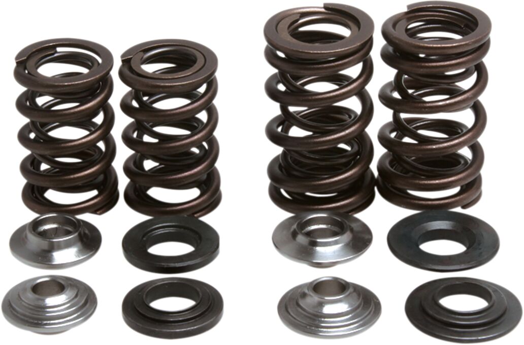 SPRING KIT VALVE TRX450R