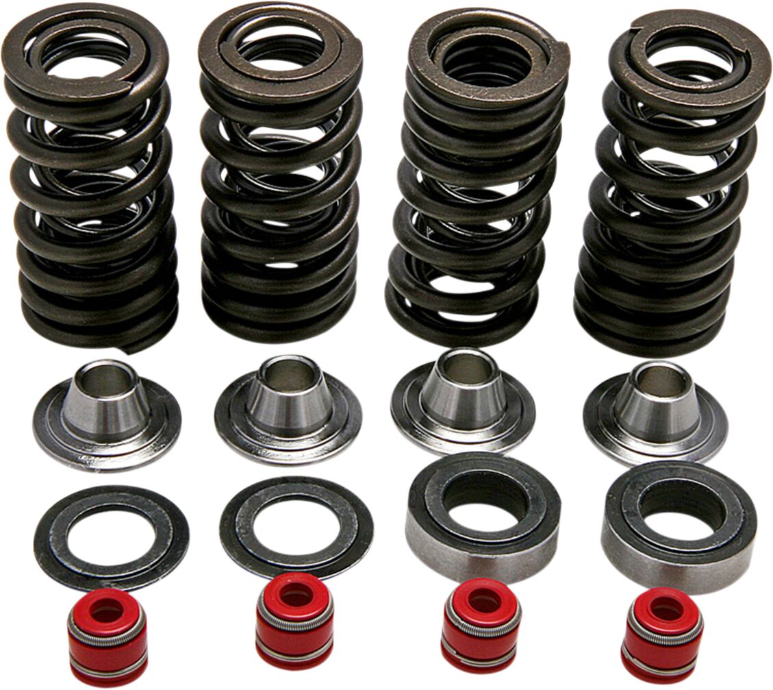 SPRING KIT CRF250R