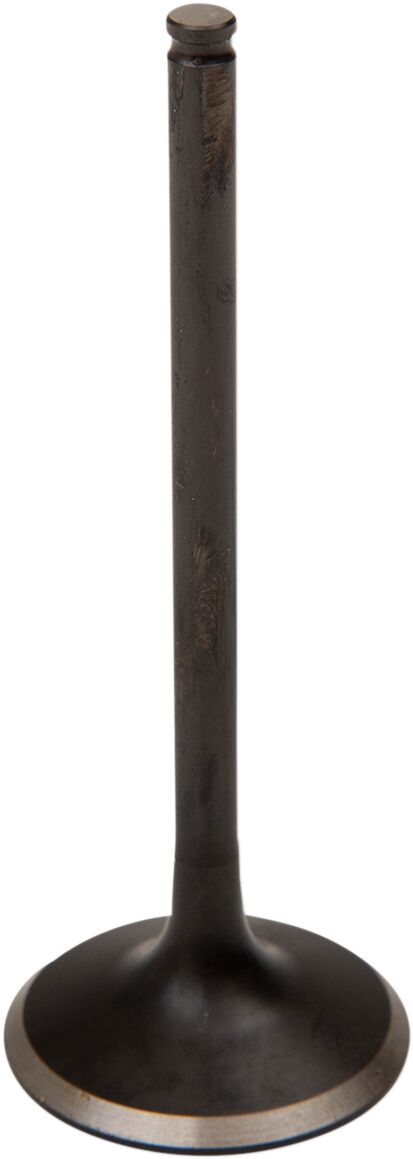 09260211 product image
