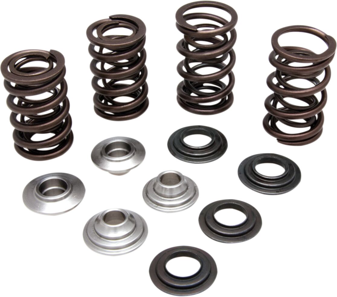 KIT VALVE SPRING LTR 450