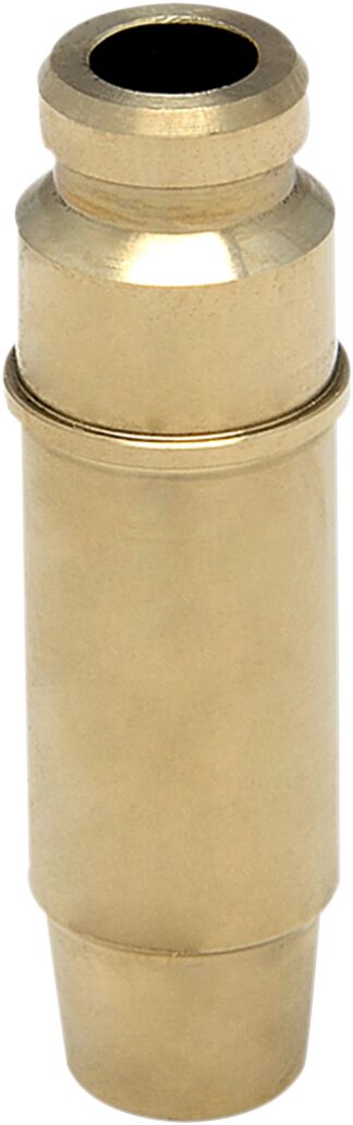 GUIDE VALVE RAPTOR 700STD