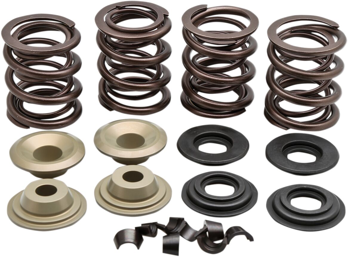 VALVE SPRING KIT 66-E84BT
