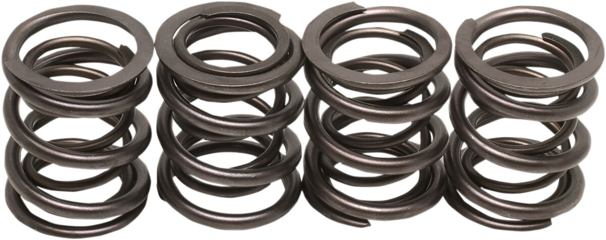VALVE SPRINGS 66-84 BT