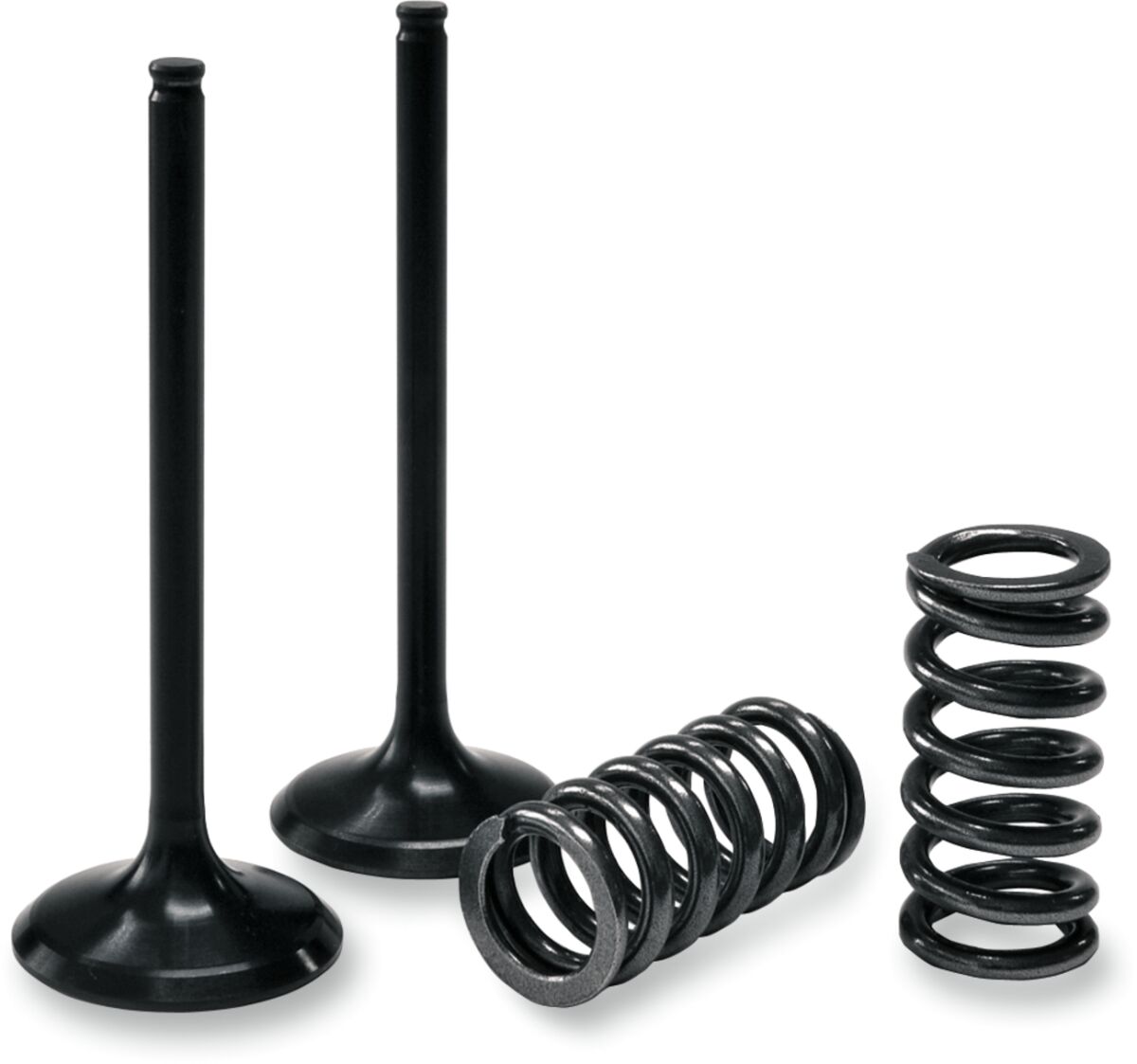 VALVE EX/SPRING KIT KX450F
