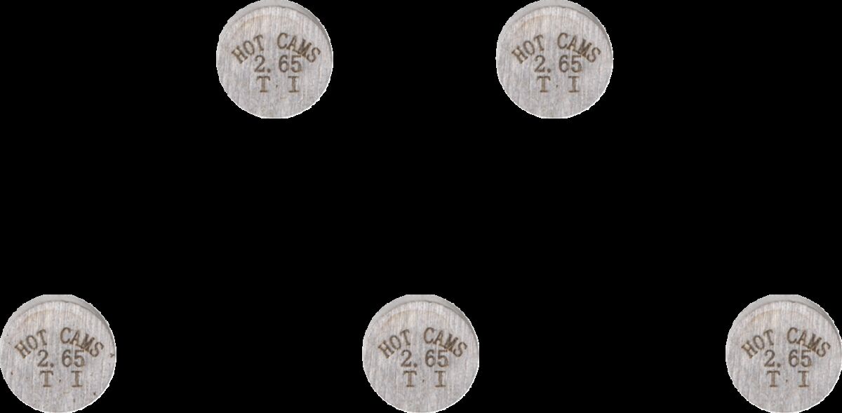 VALVE SHIM 5PK 7.48X2.65