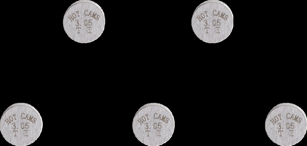 VALVE SHIM 5PK 7.48X3.05