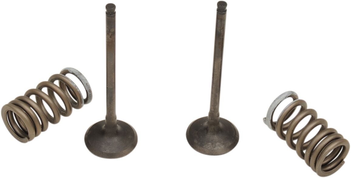 VALVE EX/SPRING KIT RM-Z250