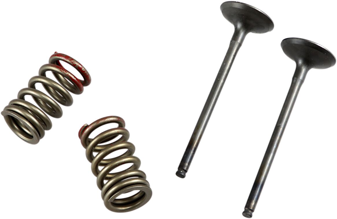 VALVE EX/SPRING KX250F+RMZ250