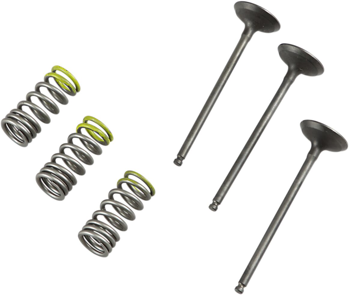 VALVE IN/SPRING KIT YZ/WR250F