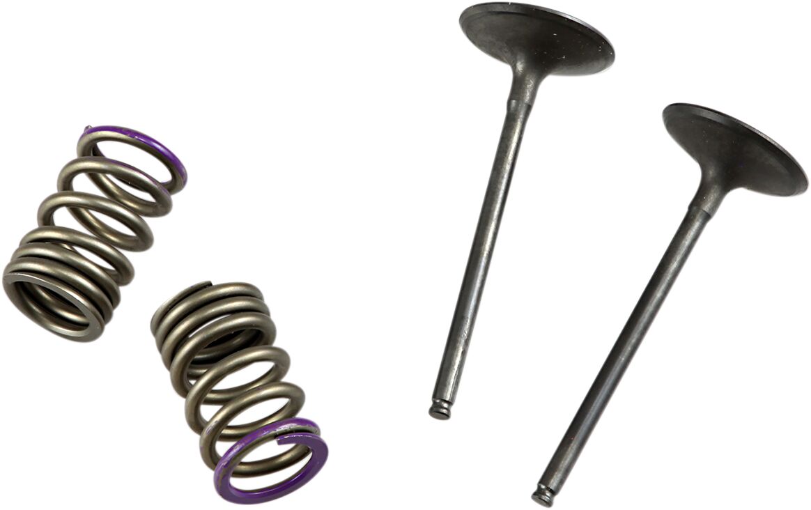 VALVE IN/SPRING KIT KX250F