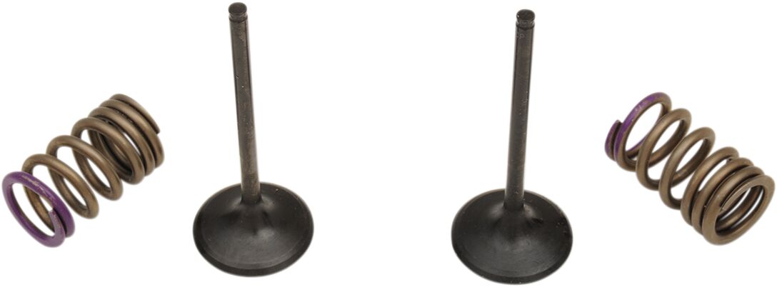 VALVE IN/SPRING KIT KX250F