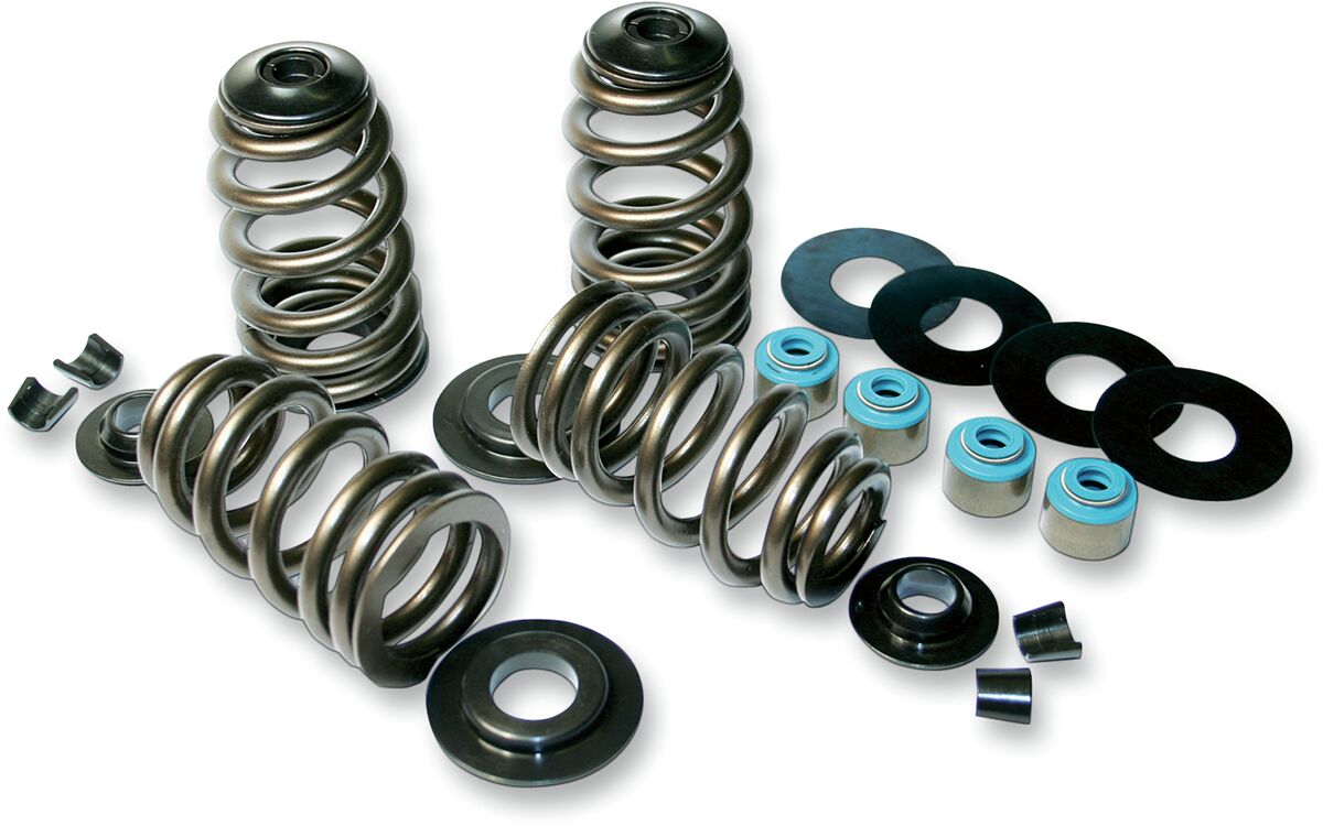 VALVE SPRINGS ECONO 85-04