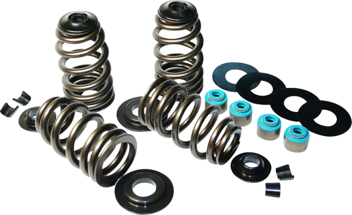 VALV SPRINGS ECON05-17 TC