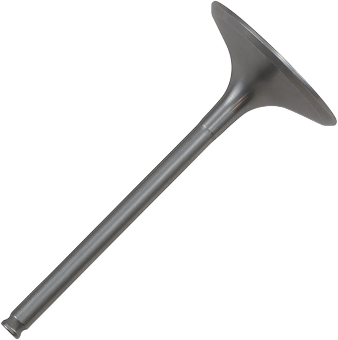 09262744 product image