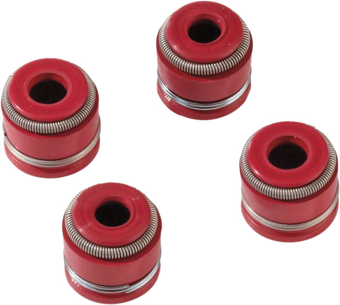 VALVE SEAL KIT TRX450R