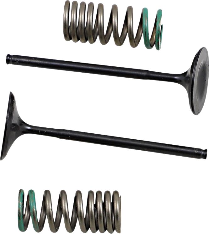INTAKE VALVE/SPRING KIT