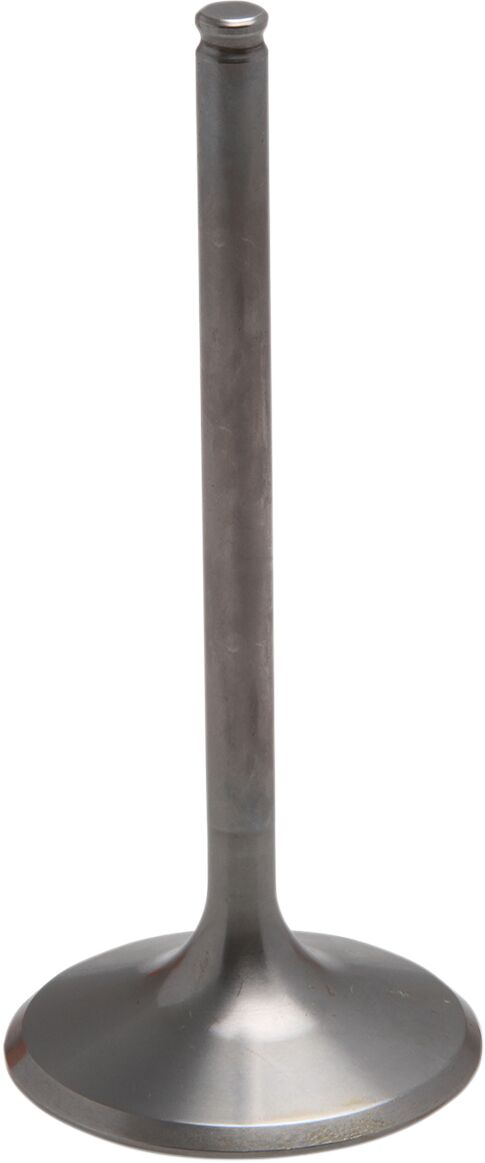 09262986 product image