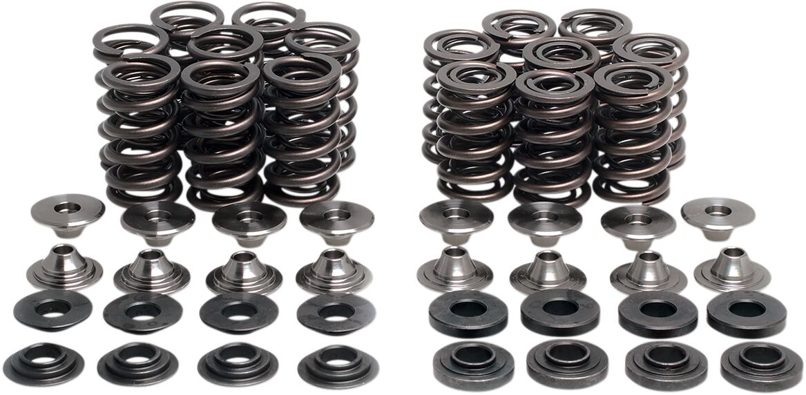 VALVE SPRING KIT ZX10R