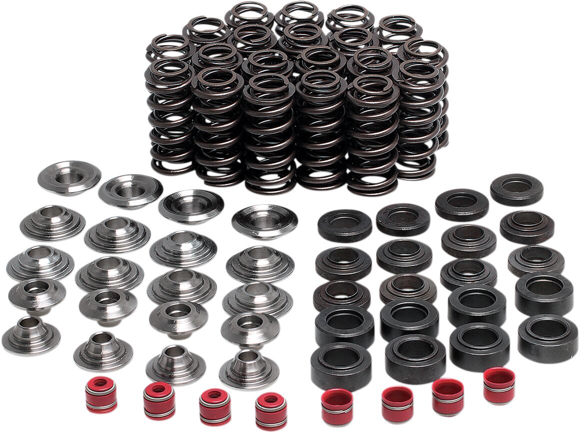 VALVE SPRING KIT YZFR1
