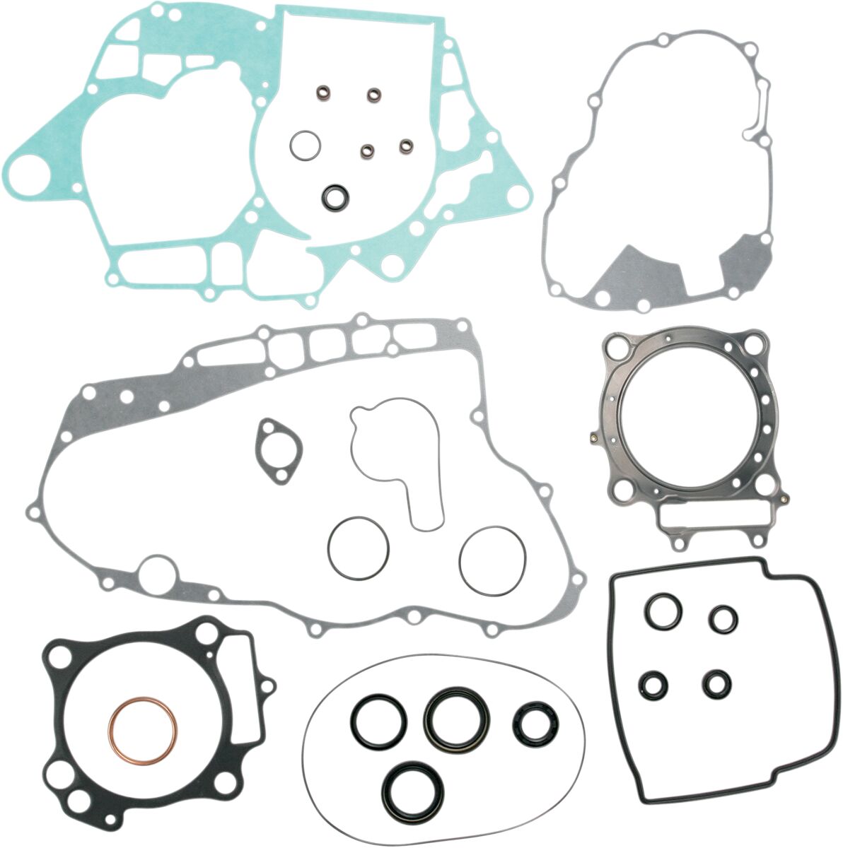 GASKETS W OIL SL TRX450R