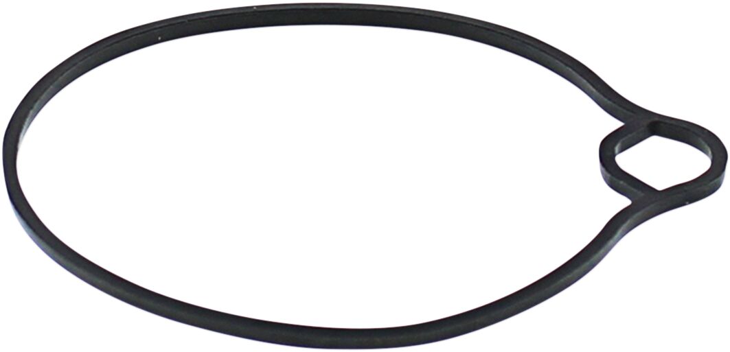 GASKET FLOAT BOWL MSE