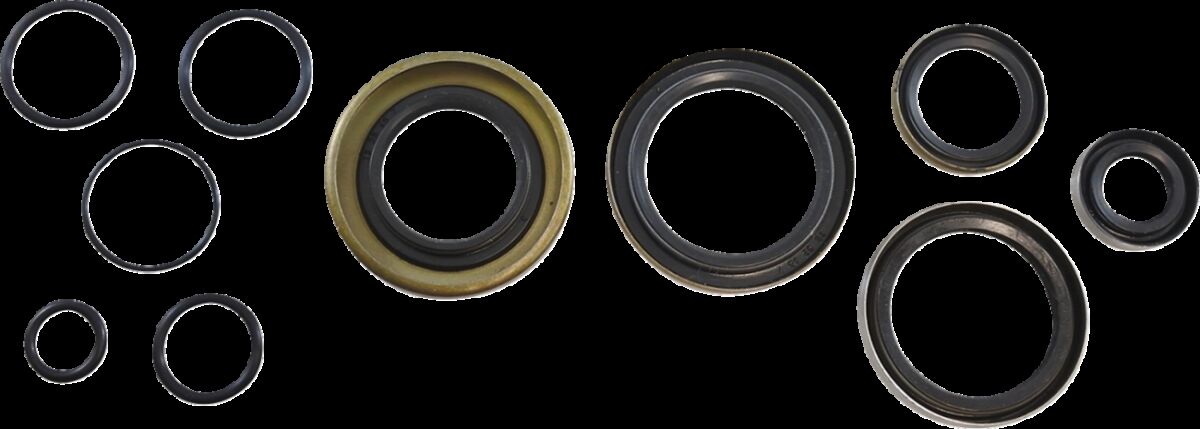 OIL SEAL KIT KOS016