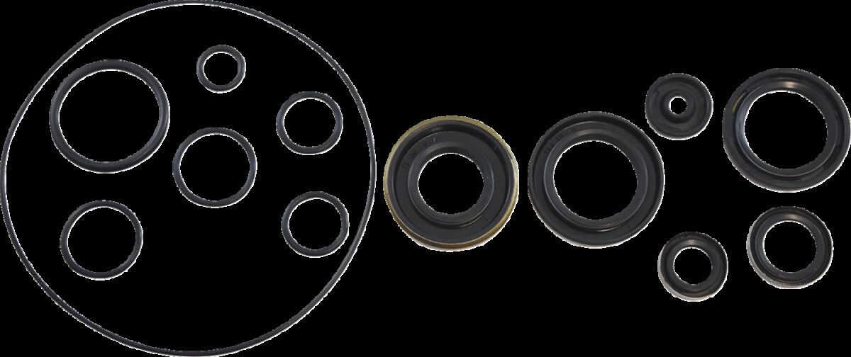 OIL SEAL KIT KOS012