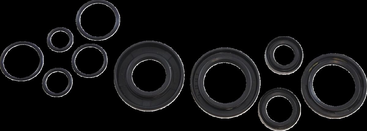 OIL SEAL KIT KOS013
