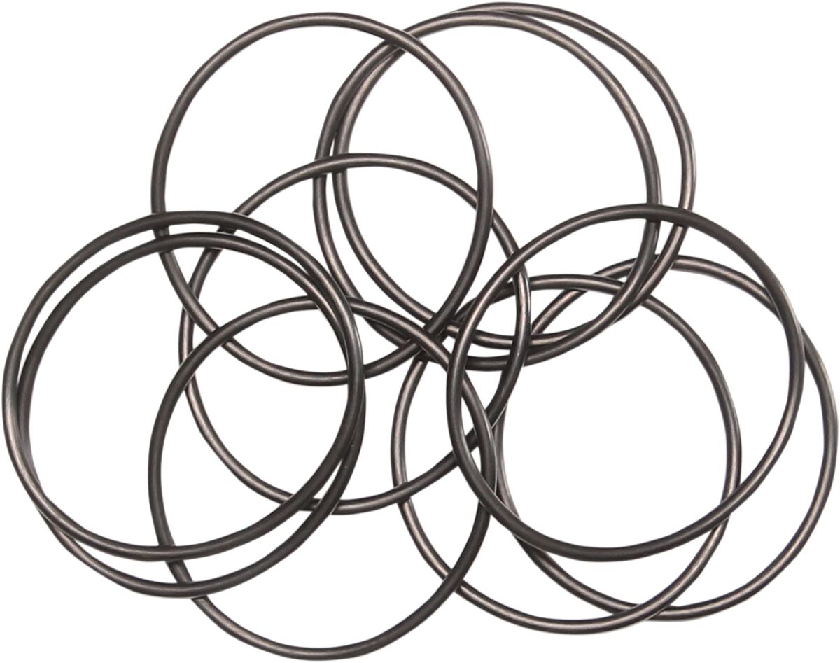 ORING OUTER OIL PUMP 10PK