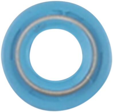 SEAL VALVE STEM