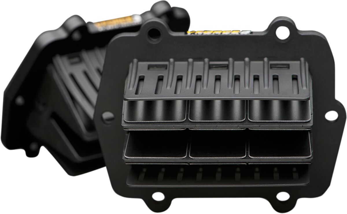 REEDS VFORCE 3R POL TWIN