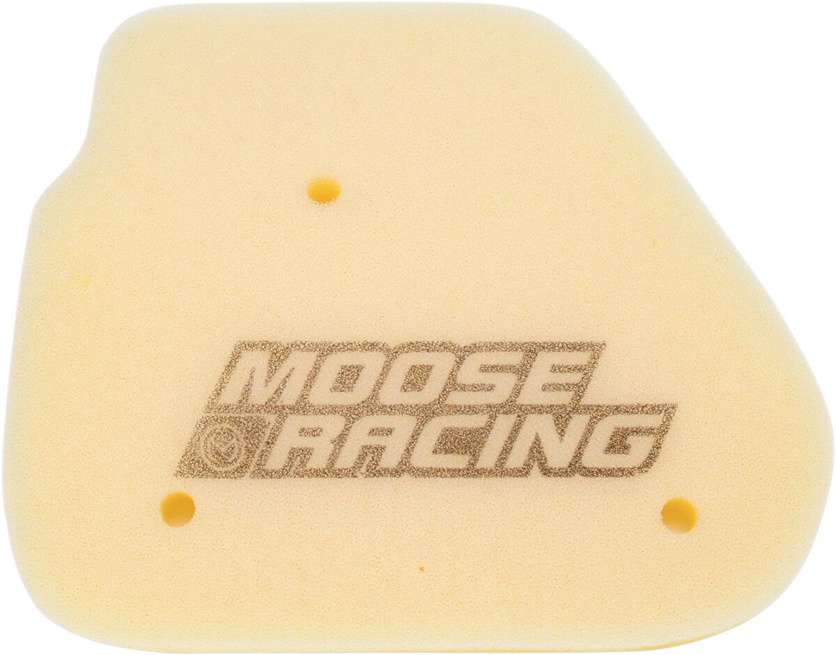 FILTER AIR POLARIS