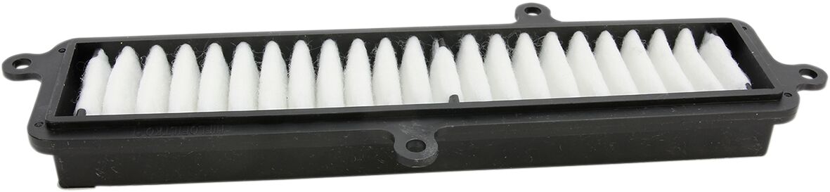 AIR FILTER BURGMAN 07-12