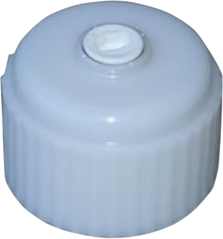STANDARD CAP WHITE