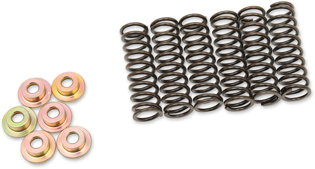 CLUTCH SPRING SET YAM
