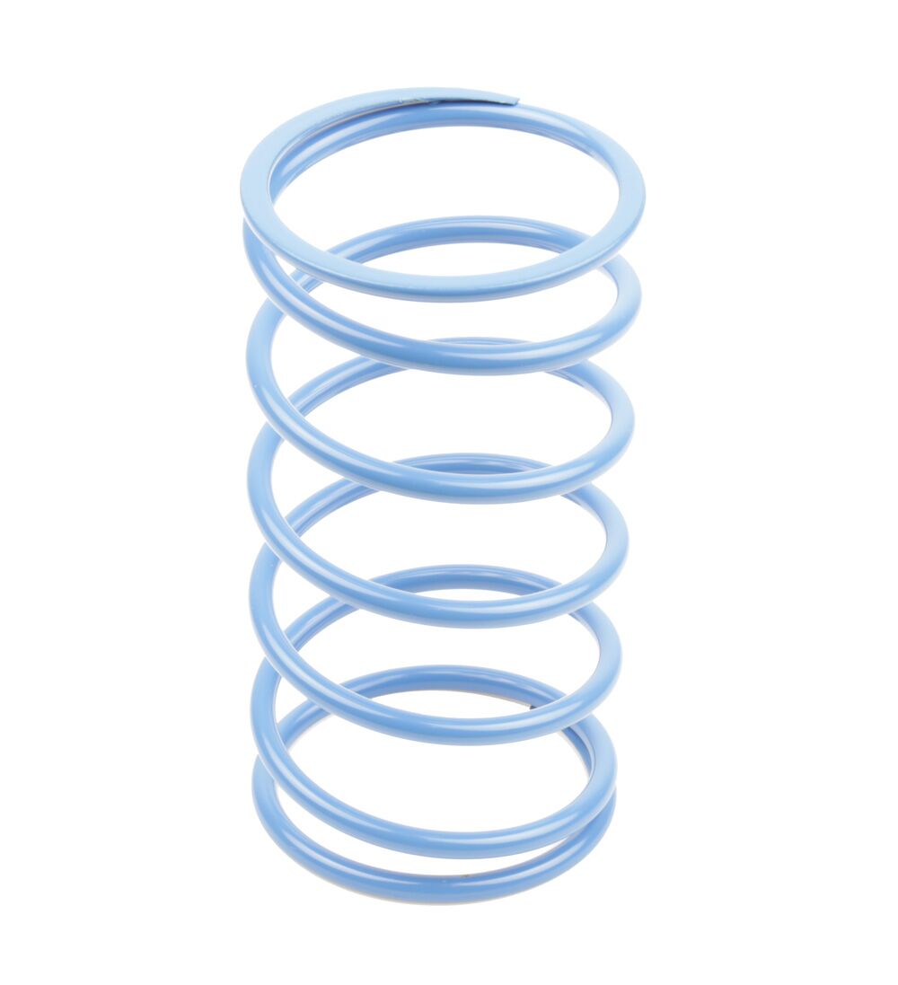 VARIATOR SPRINGS