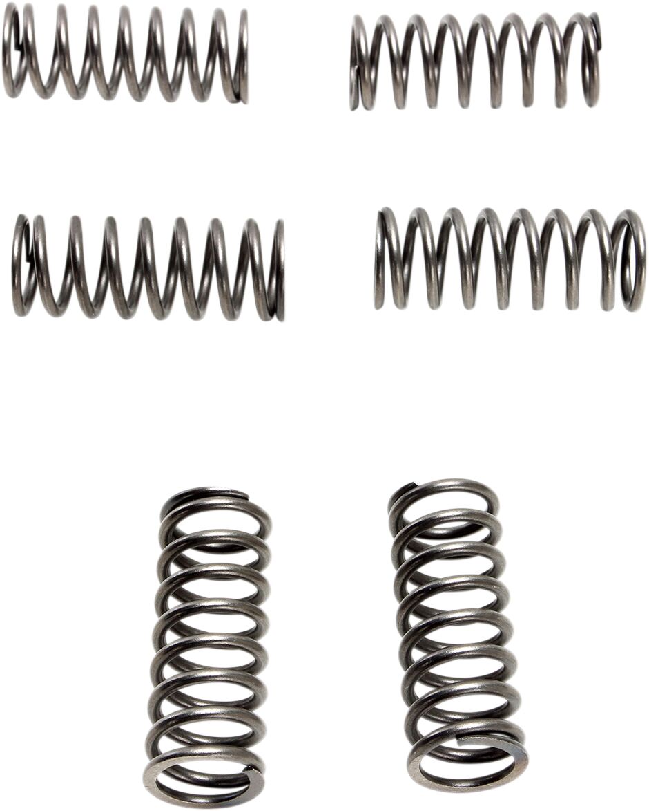 CLUTCH SPRING SET (6 PCS)