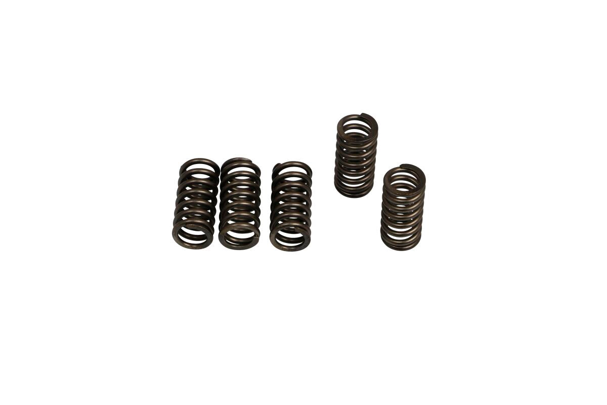 CLUTCH SPRING SET (6 PCS)