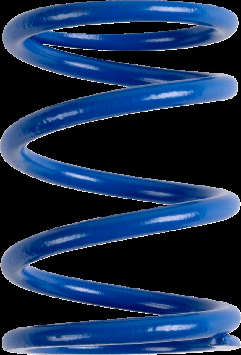 PRIMARY CLUTCH SPRING (BLUE/YE