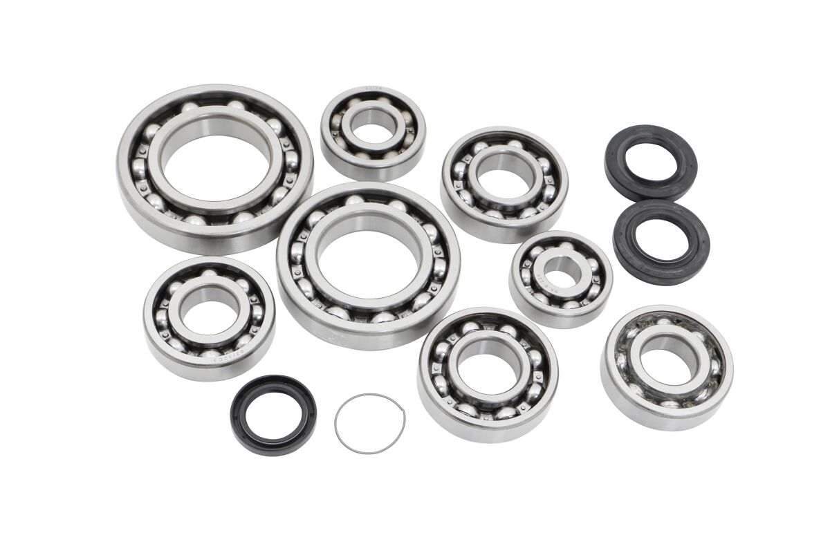 DIF BEARING & SEAL KIT REAR