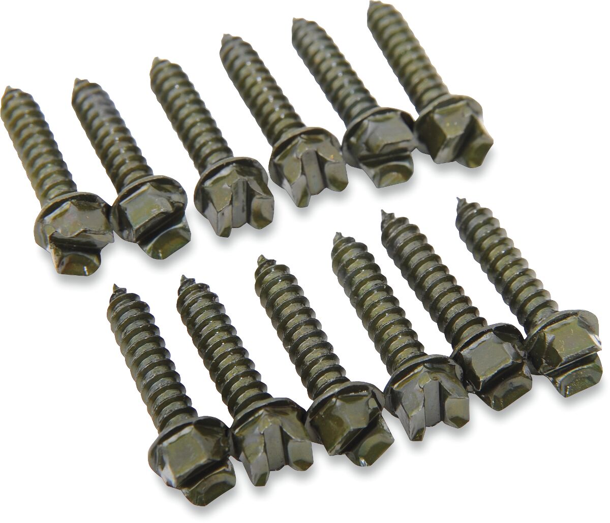 SCREWS PRO GOLD 1 250