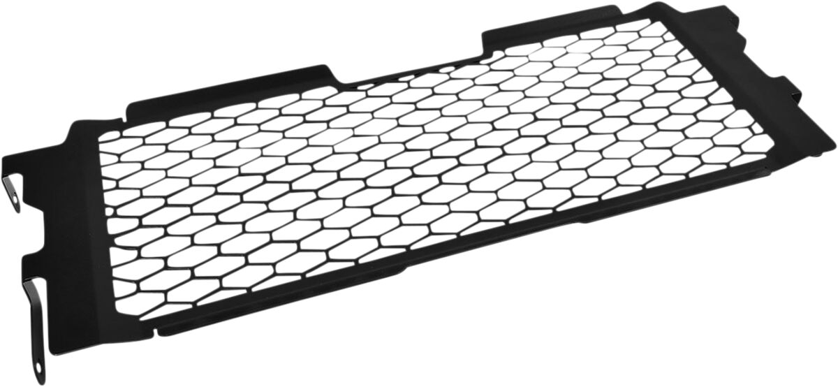 RADIATOR GUARD R1200R